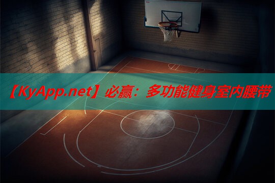必赢：多功能健身室内腰带