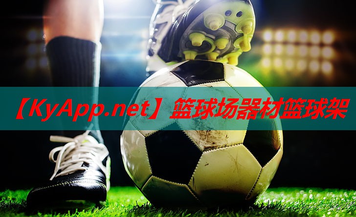 篮球场器材篮球架