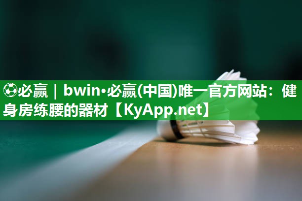 ⚽必赢｜bwin·必赢(中国)唯一官方网站：健身房练腰的器材