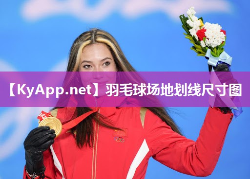 羽毛球场地划线尺寸图