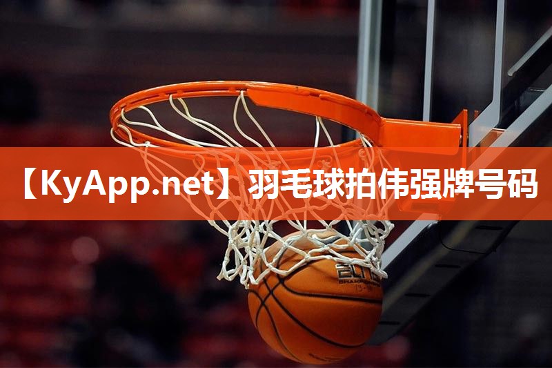 羽毛球拍伟强牌号码