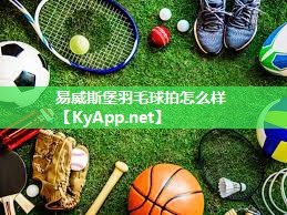 易威斯堡羽毛球拍怎么样