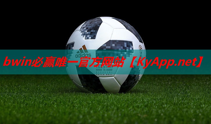 丰泰乒乓球台怎么样