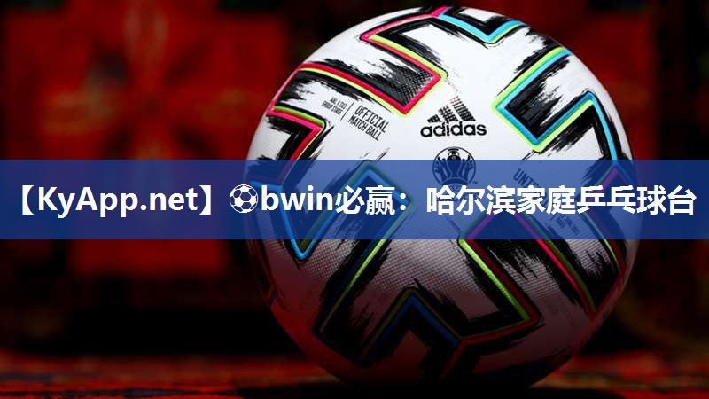 哈尔滨家庭乒乓球台