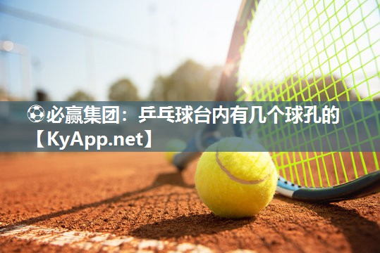 乒乓球台内有几个球孔的