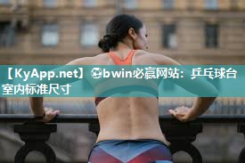 乒乓球台室内标准尺寸