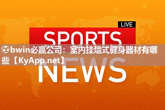 室内挂墙式健身器材有哪些