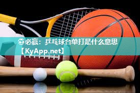 乒乓球台单打是什么意思