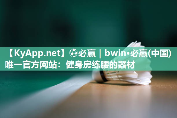 健身房练腰的器材