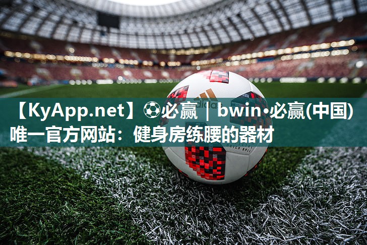 健身房练腰的器材