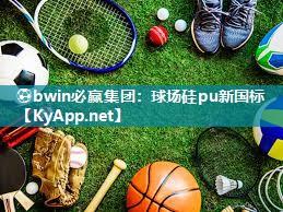 球场硅pu新国标