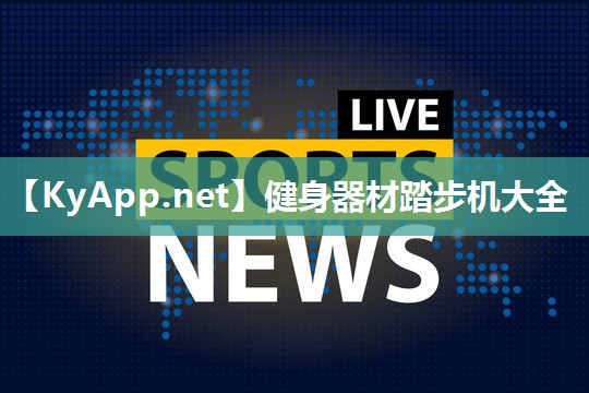 健身器材踏步机大全