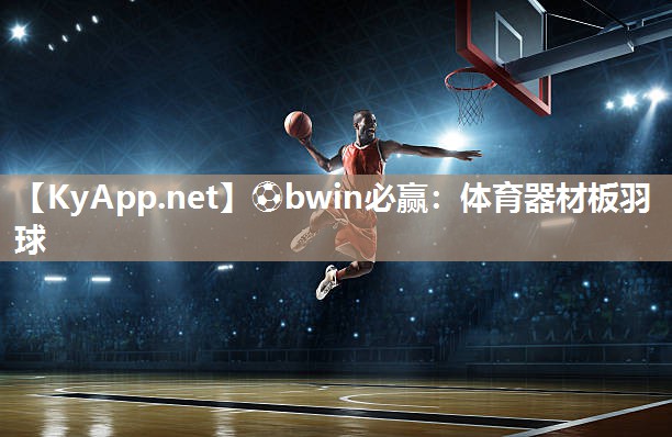体育器材板羽球