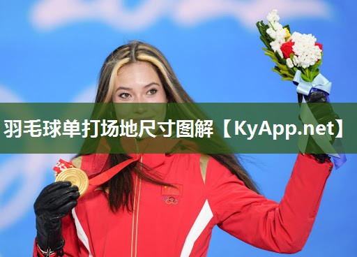 羽毛球单打场地尺寸图解