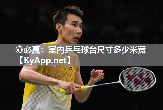 室内乒乓球台尺寸多少米宽