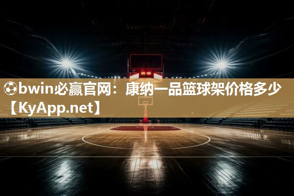 康纳一品篮球架价格多少