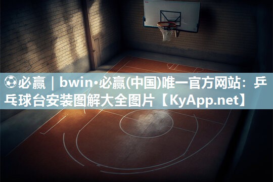 乒乓球台安装图解大全图片