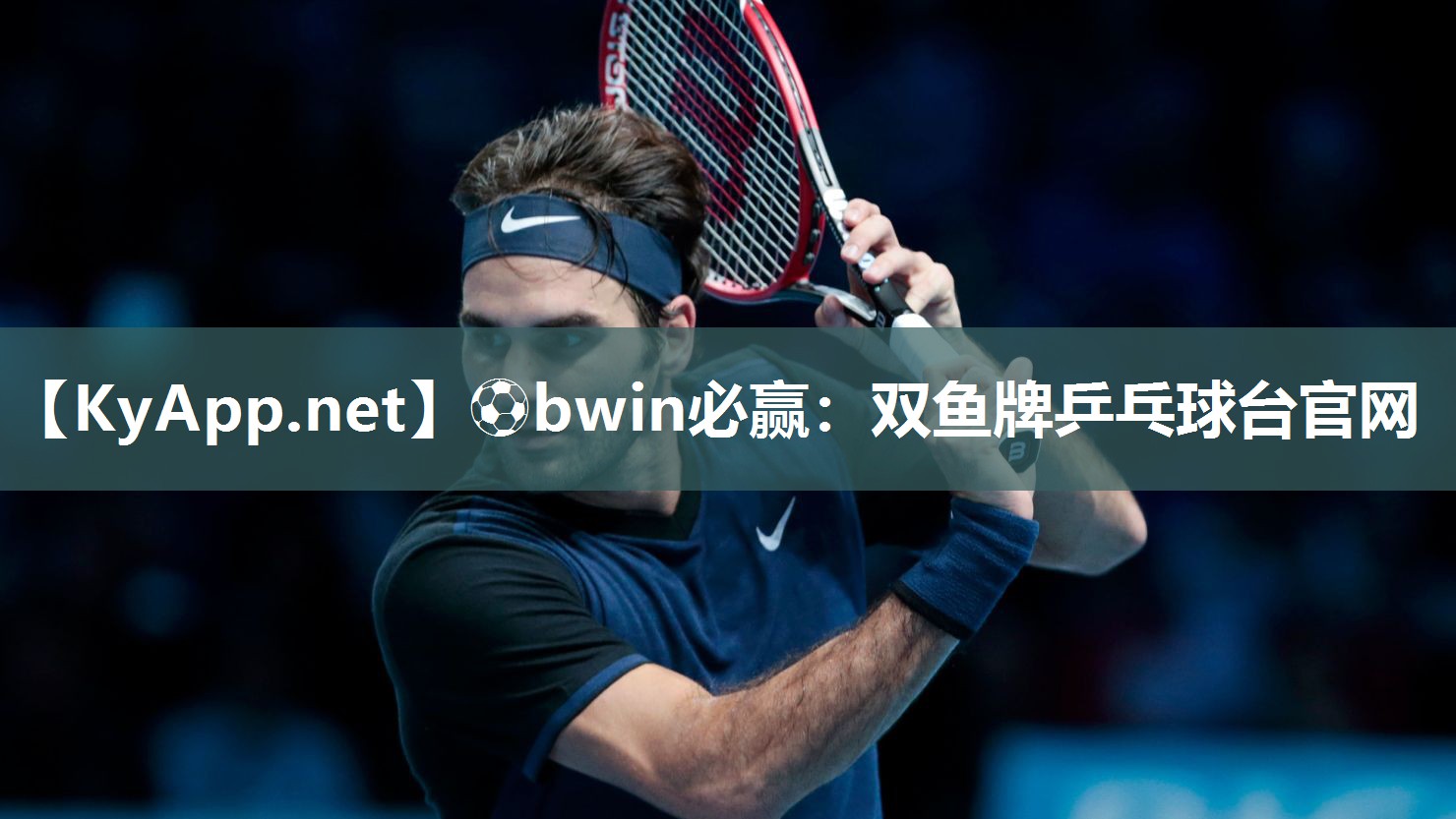 双鱼牌乒乓球台官网