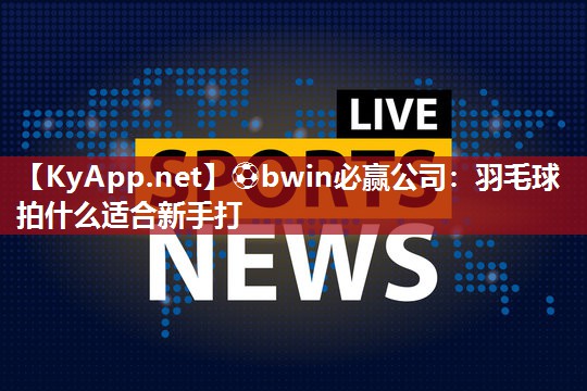 羽毛球拍什么适合新手打
