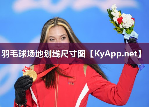 羽毛球场地划线尺寸图