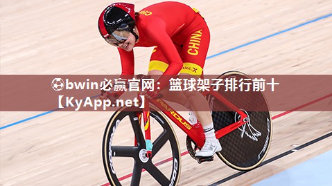 篮球架子排行前十