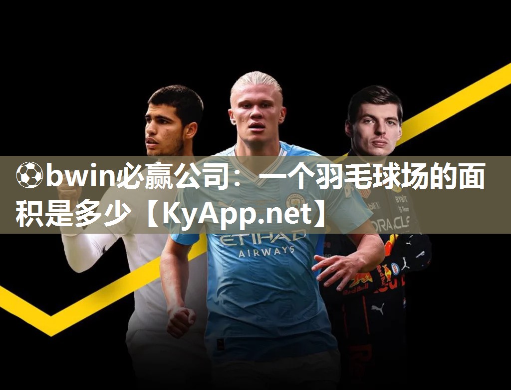 一个羽毛球场的面积是多少