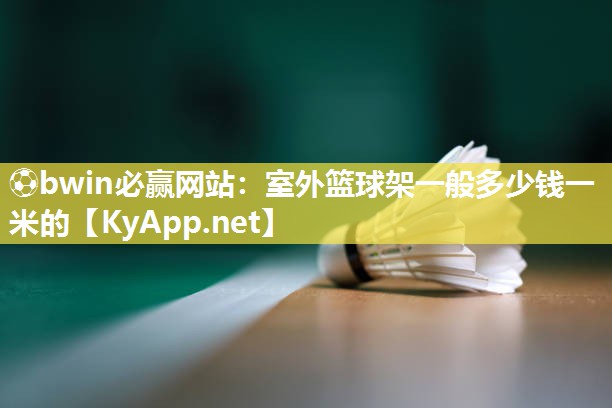 室外篮球架一般多少钱一米的