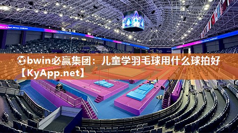 儿童学羽毛球用什么球拍好