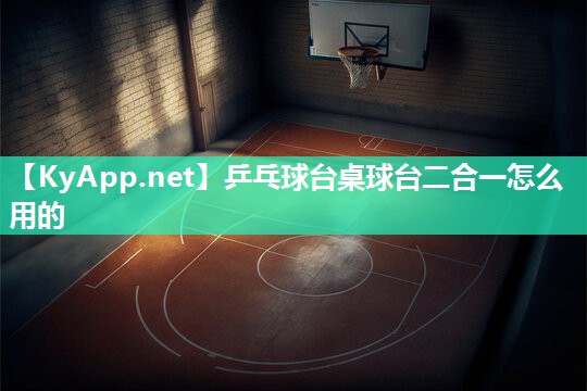 乒乓球台桌球台二合一怎么用的
