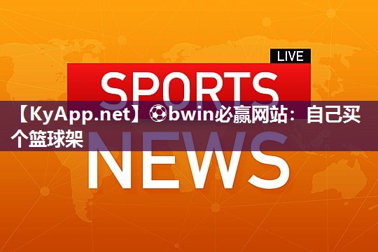 自己买个篮球架