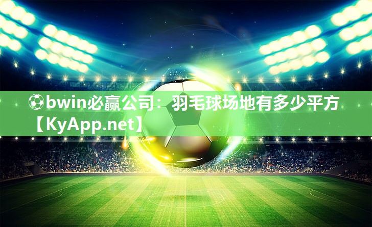 羽毛球场地有多少平方