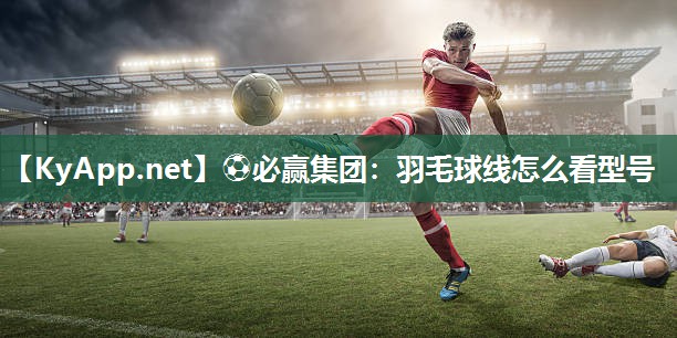羽毛球线怎么看型号