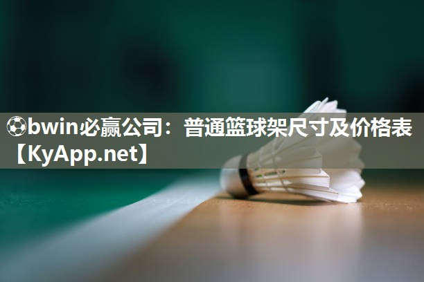 普通篮球架尺寸及价格表