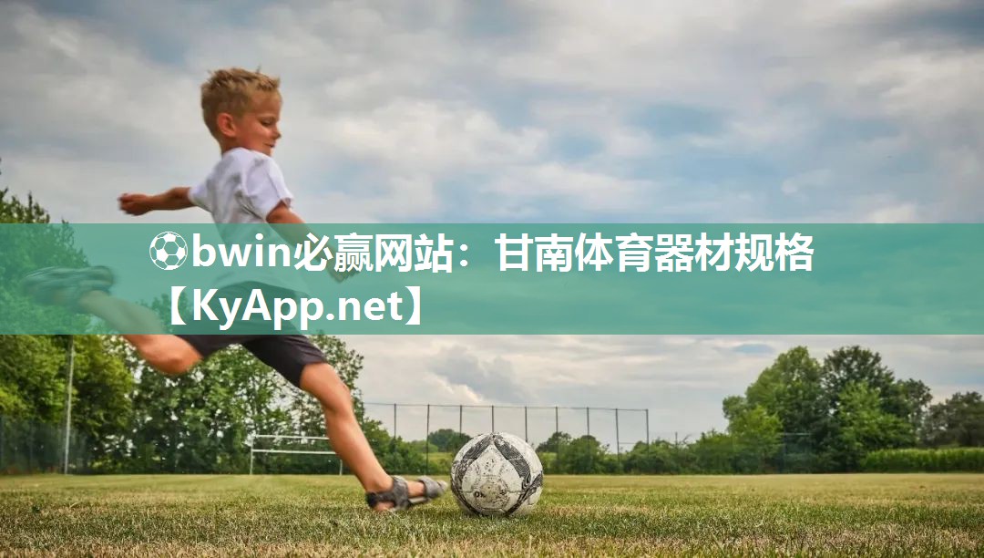 甘南体育器材规格